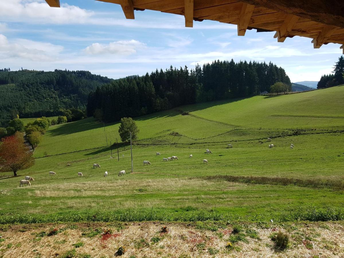 Le Domaine Des Terres *